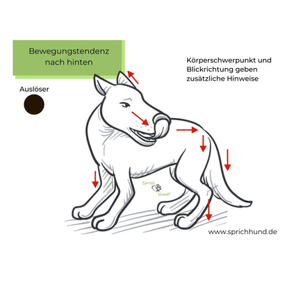 Lizenz Sprich Hund! Körpersprachies 8 - Bewegungstendenzen