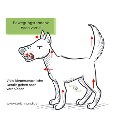 Lizenz Sprich Hund! Körpersprachies 8 - Bewegungstendenzen