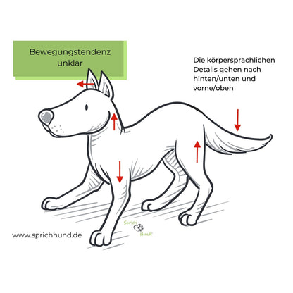 Lizenz Sprich Hund! Körpersprachies 8 - Bewegungstendenzen