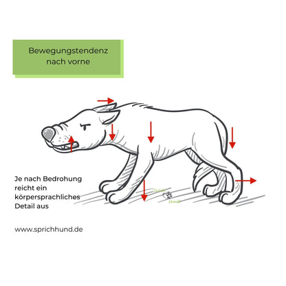 Lizenz Sprich Hund! Körpersprachies 8 - Bewegungstendenzen