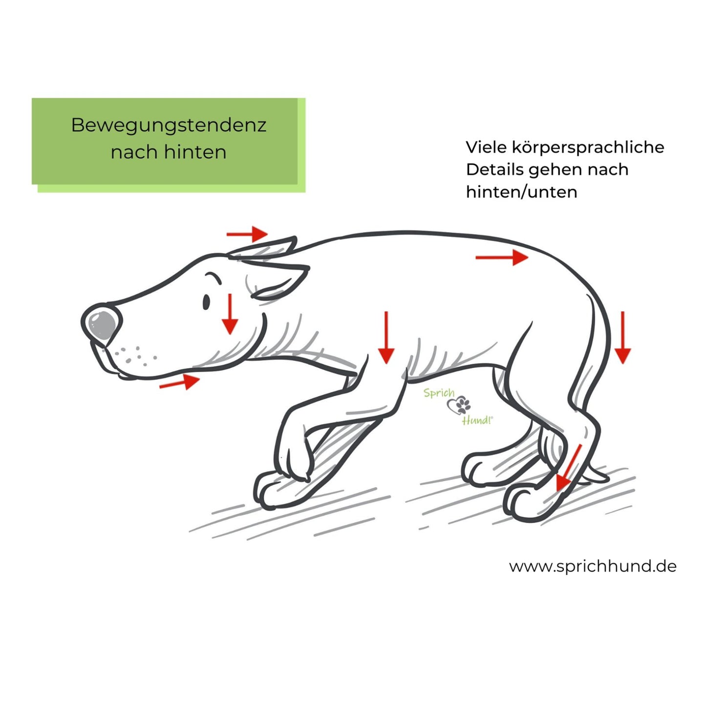 Lizenz Sprich Hund! Körpersprachies 8 - Bewegungstendenzen