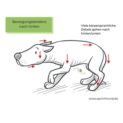 Lizenz Sprich Hund! Körpersprachies 8 - Bewegungstendenzen