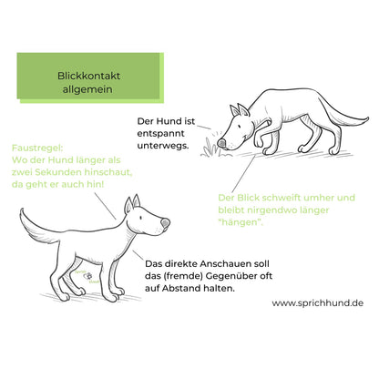 Lizenz Sprich Hund! Körpersprachies 9 - Schlagzeilen