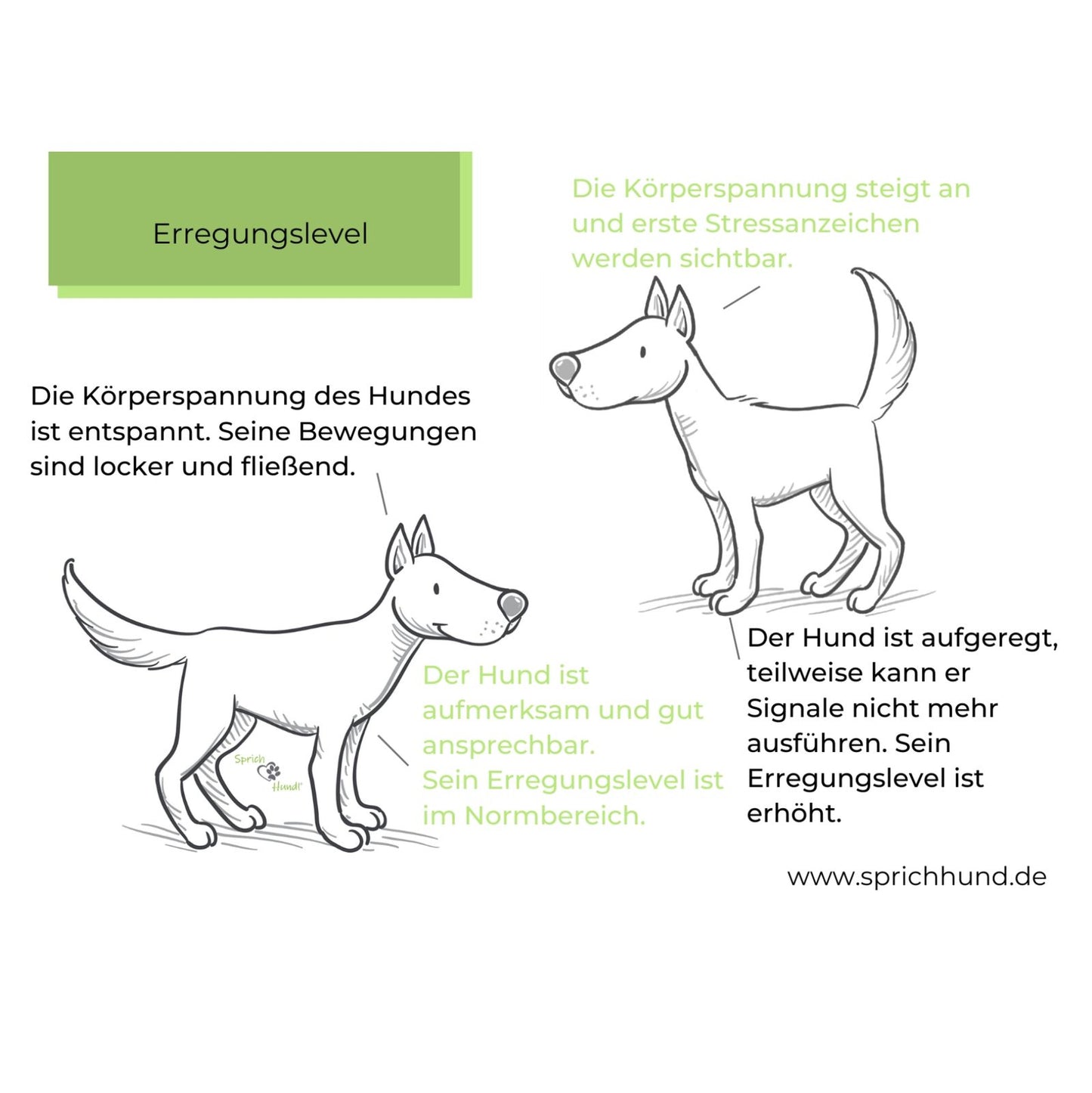 Lizenz Sprich Hund! Körpersprachies 9 - Schlagzeilen