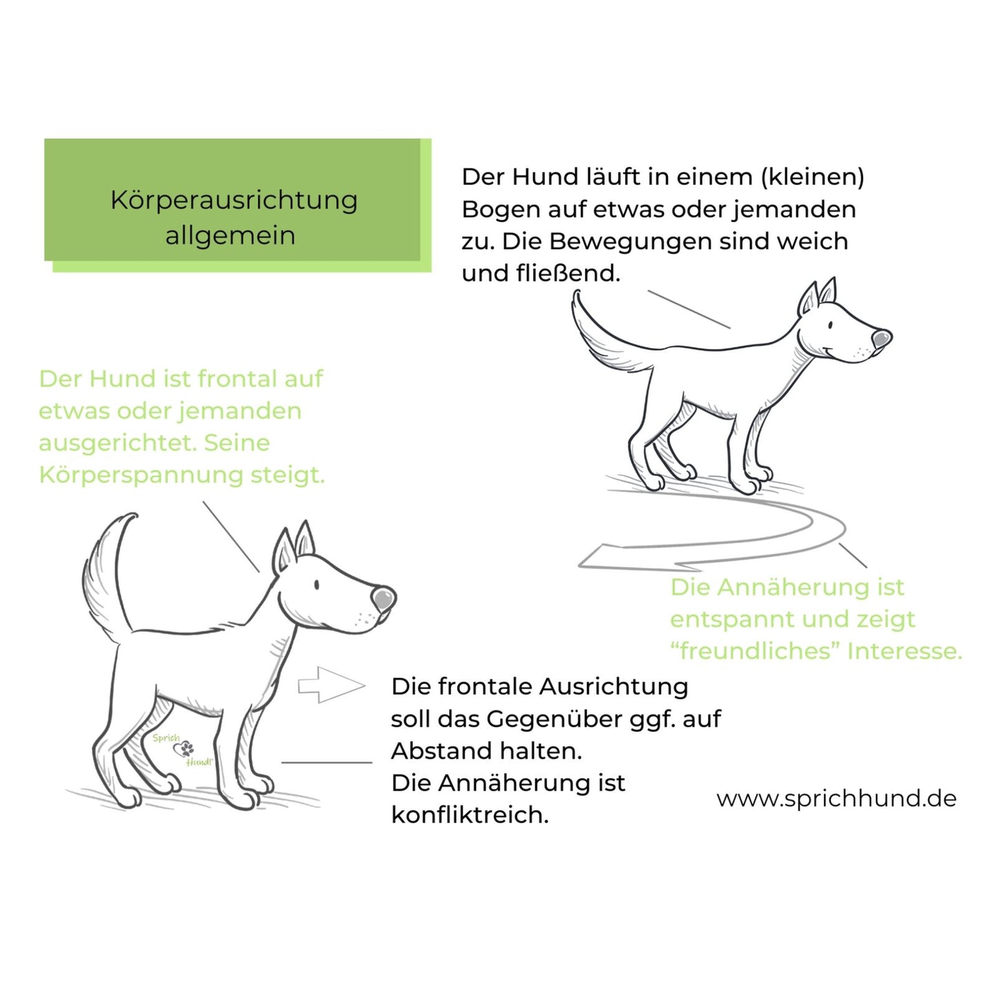 Lizenz Sprich Hund! Körpersprachies 9 - Schlagzeilen