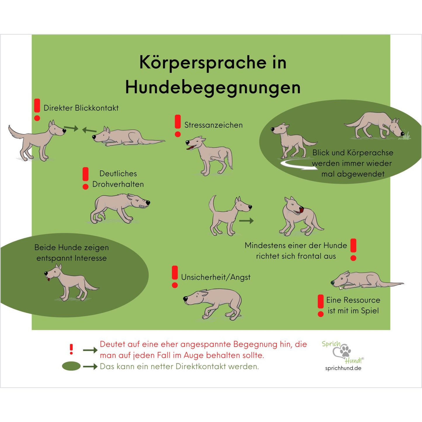 Lizenz Sprich Hund! Körpersprache Hundebegegnungen-Plakat