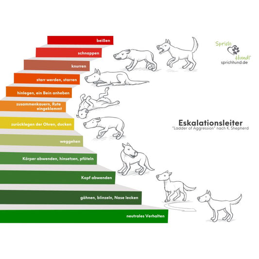 Lizenz Sprich Hund! Körpersprachies 7 Eskalationsleiter