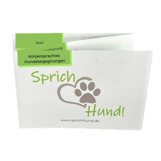 Sprich Hund! Körpersprachies 5 Hundebegegnungen